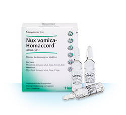 NUX VOMICA HOMACCORD ad us.vet.Ampullen