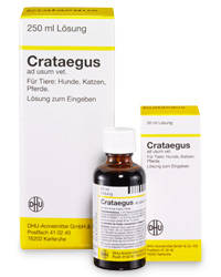 CRATAEGUS Dilution vet.