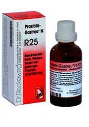 PROSTATA-GASTREU N R25 Mischung