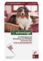 ADVANTAGE 250 Lsung f.Hunde 10-25 kg