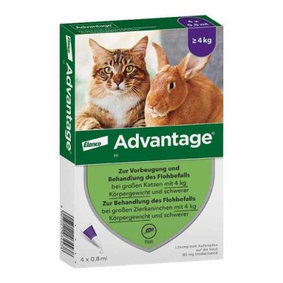 ADVANTAGE 80 mg f.gr.Katzen u.gr.Zierkaninchen