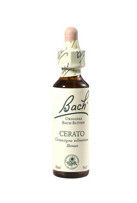 BACHBLTEN Cerato Tropfen