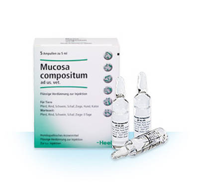 MUCOSA compositum ad us.vet.Ampullen