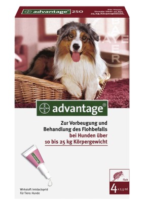 ADVANTAGE 250 Lsung f.Hunde 10-25 kg